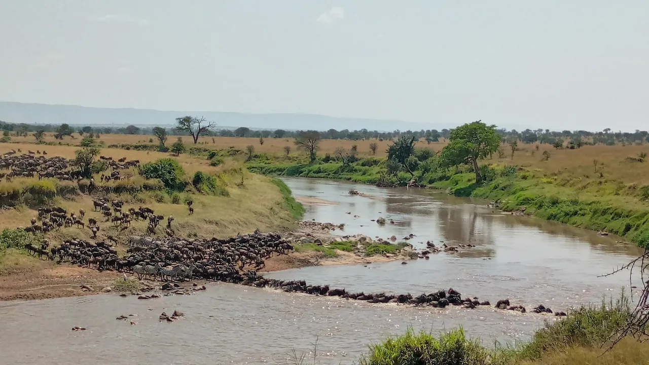 3 Days Serengeti and Ngorongoro Safari from Zanzibar