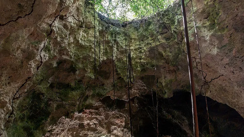 Blue Lagoon, Starfish & Kuza Cave Tour