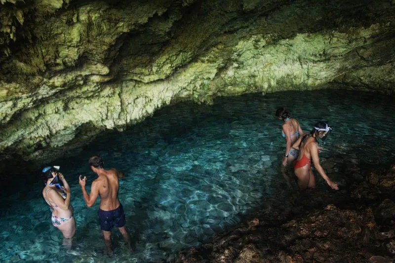 Spice Farm, Jozani Forest & Kuza Cave Tour