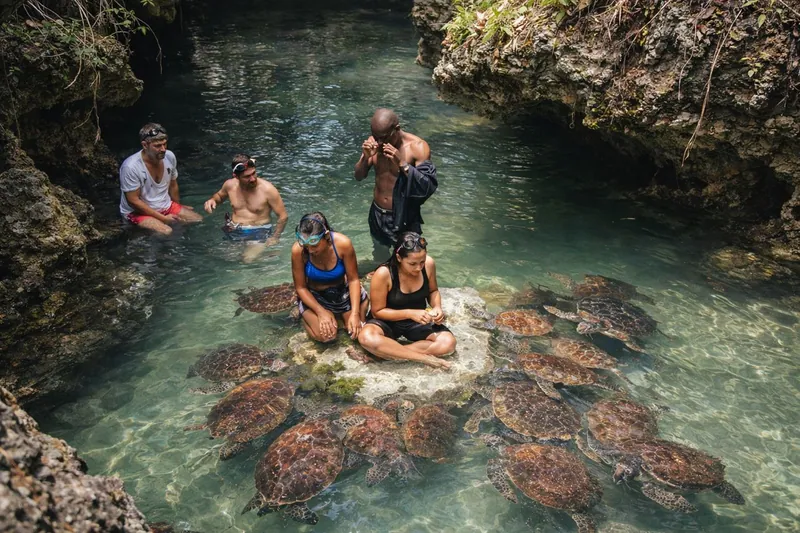 Nungwi Turtle Aquarium & Shared Sunset Dhow Cruise