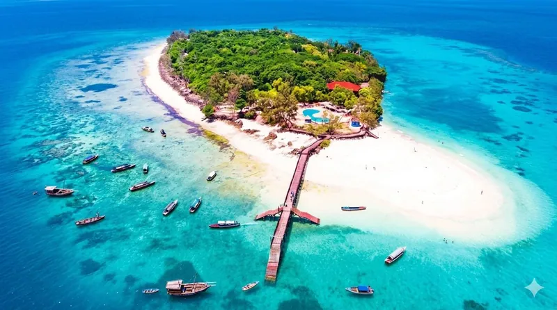 Prison Island Tour from Stone Town