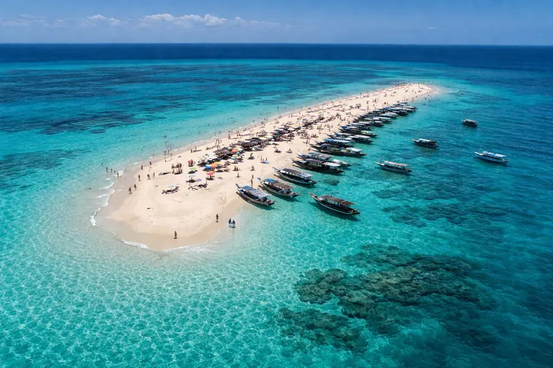Safari Blue Ocean Adventure with Lunch