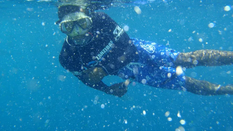 Mnemba Island Snorkeling Tour from Zanzibar