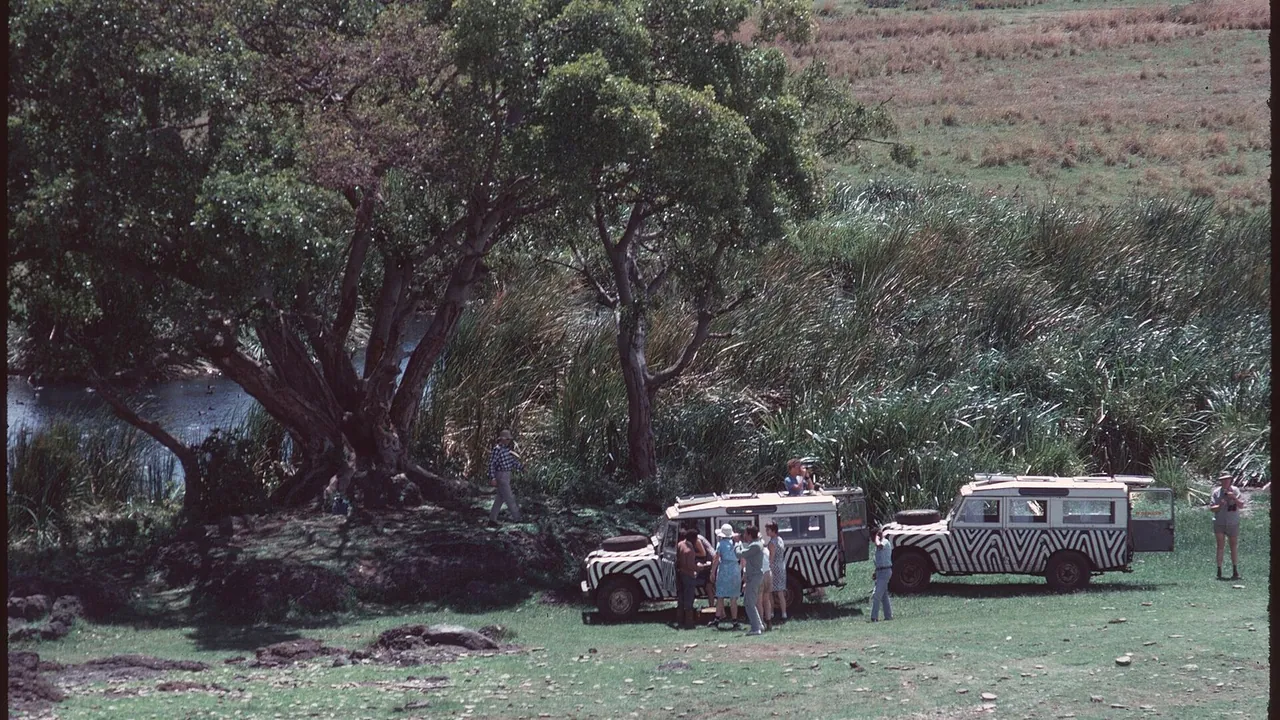 2 Days Tarangire Safari from Zanzibar
