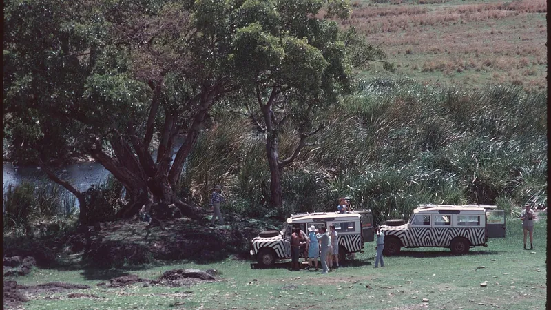 2 Days Tarangire Safari from Zanzibar