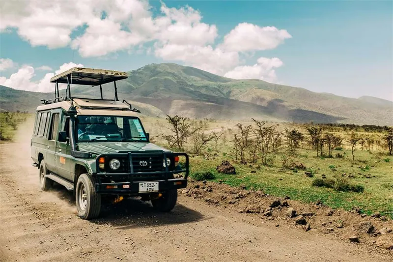 Tanzania safaris from Zanzibar